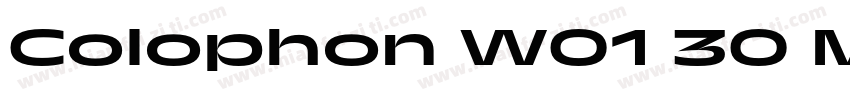 Colophon W01 30 Medium字体转换